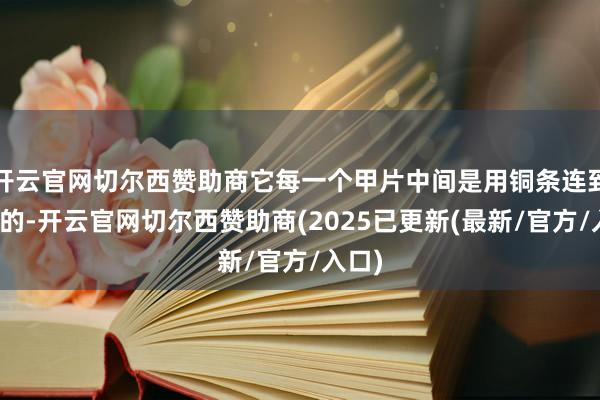 开云官网切尔西赞助商它每一个甲片中间是用铜条连到扫数的-开云官网切尔西赞助商(2025已更新(最新/官方/入口)
