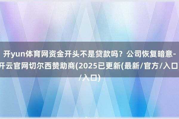 开yun体育网资金开头不是贷款吗？公司恢复暗意-开云官网切尔西赞助商(2025已更新(最新/官方/入口)