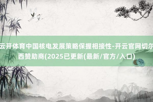 云开体育中国核电发展策略保握相接性-开云官网切尔西赞助商(2025已更新(最新/官方/入口)