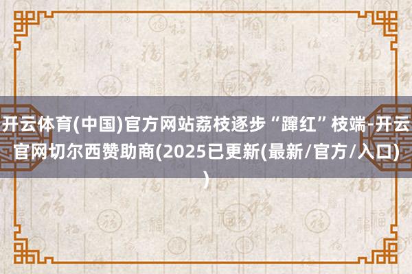 开云体育(中国)官方网站荔枝逐步“蹿红”枝端-开云官网切尔西赞助商(2025已更新(最新/官方/入口)