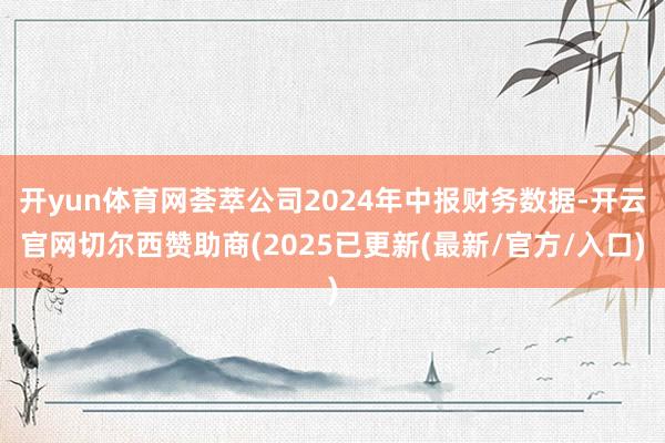 开yun体育网荟萃公司2024年中报财务数据-开云官网切尔西赞助商(2025已更新(最新/官方/入口)