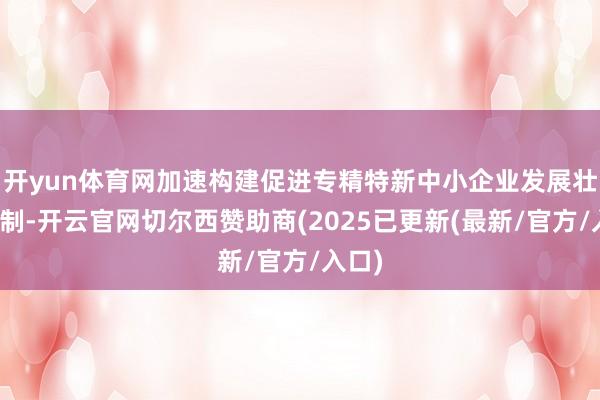 开yun体育网加速构建促进专精特新中小企业发展壮大机制-开云官网切尔西赞助商(2025已更新(最新/官方/入口)
