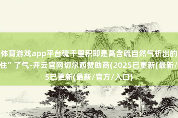 体育游戏app平台硫千里积即是高含硫自然气析出的硫颗粒“堵住”了气-开云官网切尔西赞助商(2025已更新(最新/官方/入口)